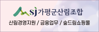 가평군산림조합, 산림경영지원 / 금융업무 / 숲드림쇼핑몰
