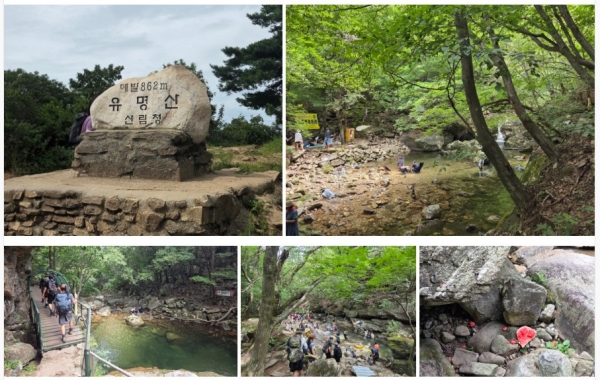 유명산 862m 산행…“아름다운 계곡, 깨끗하게 지켜야”