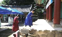 [포토뉴스] 서태원 군수 취임 고유례 봉행