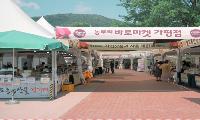 자라섬 가을빛 물드는 27일간의 장터…‘바로마켓 가평점’ 9월 9일 개장